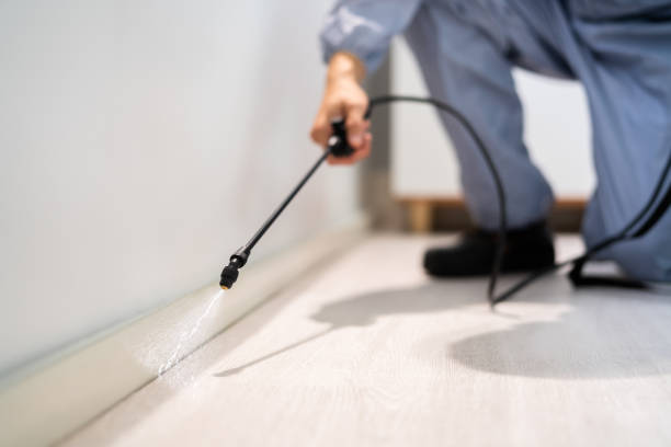 Licensed Pest Control service in Clinton, MI - Show Me Pest Control